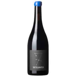 Sietejuntos Syrah
